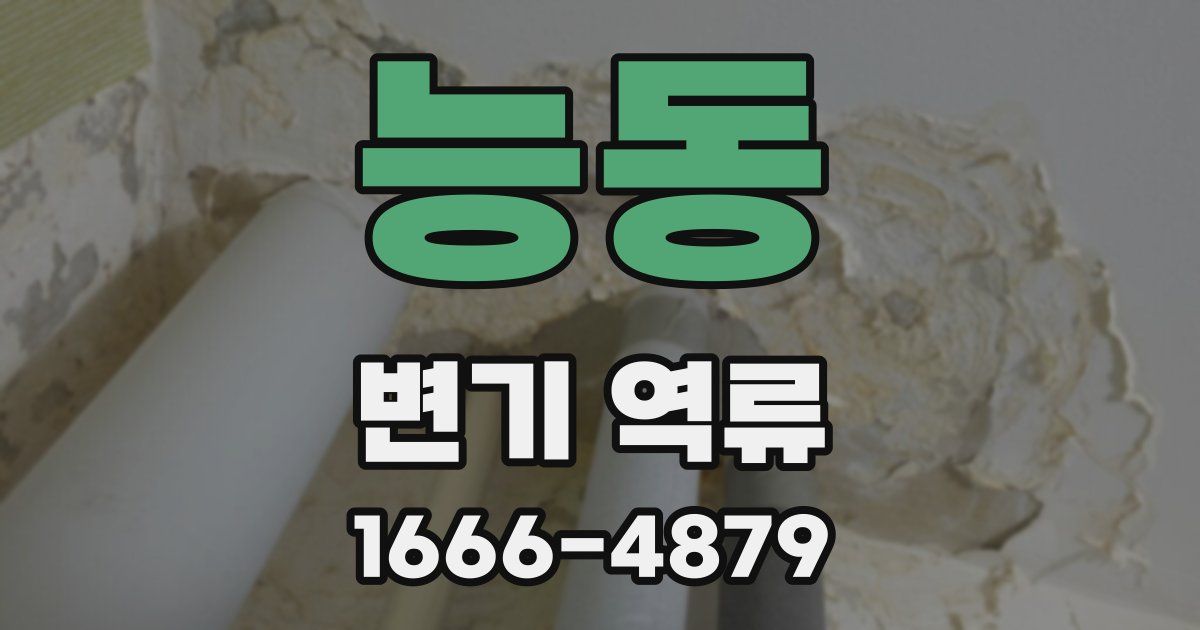 능동 변기 역류
