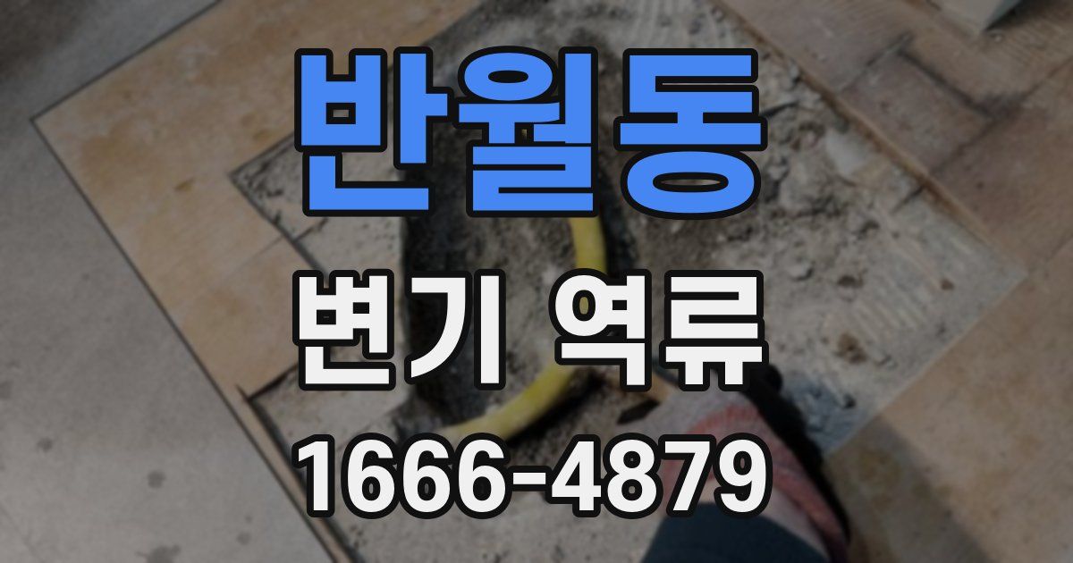 반월동 변기 역류