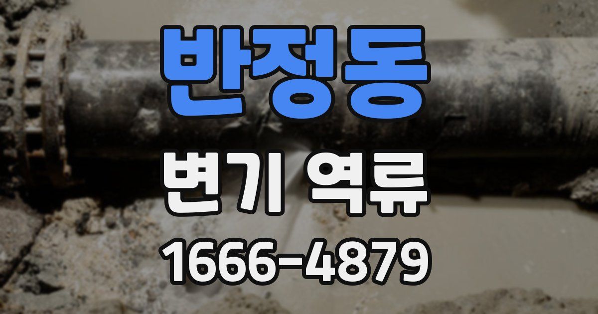 반정동 변기 역류