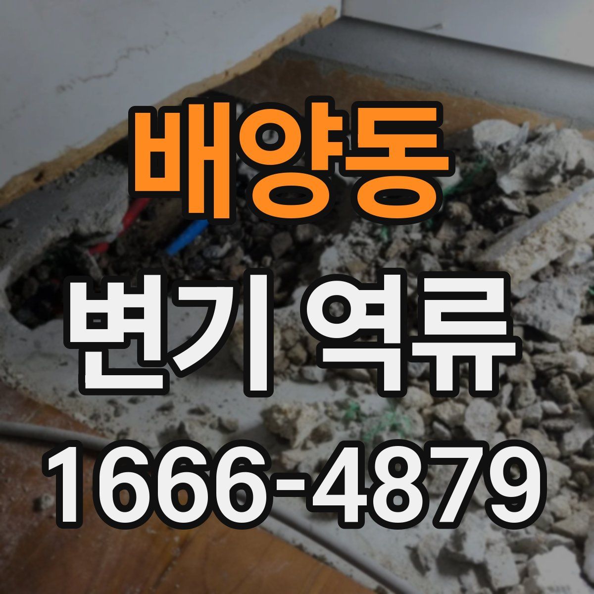 배양동 변기 역류