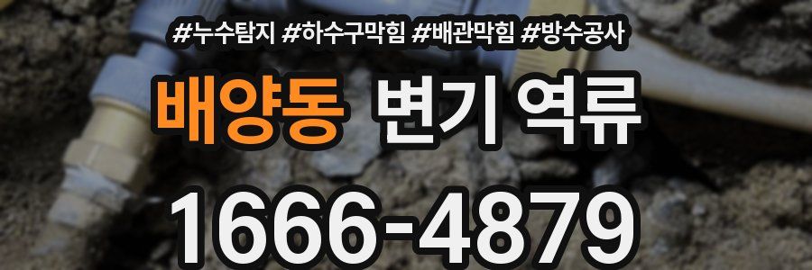 배양동 변기 역류