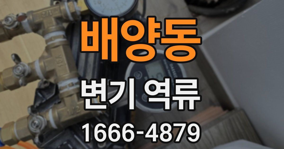 배양동 변기 역류