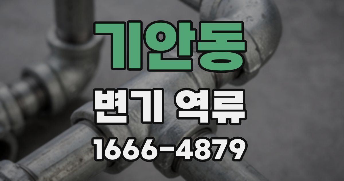기안동 변기 역류