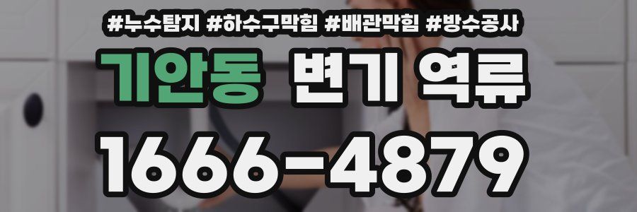 기안동 변기 역류