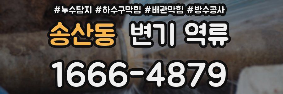 송산동 변기 역류
