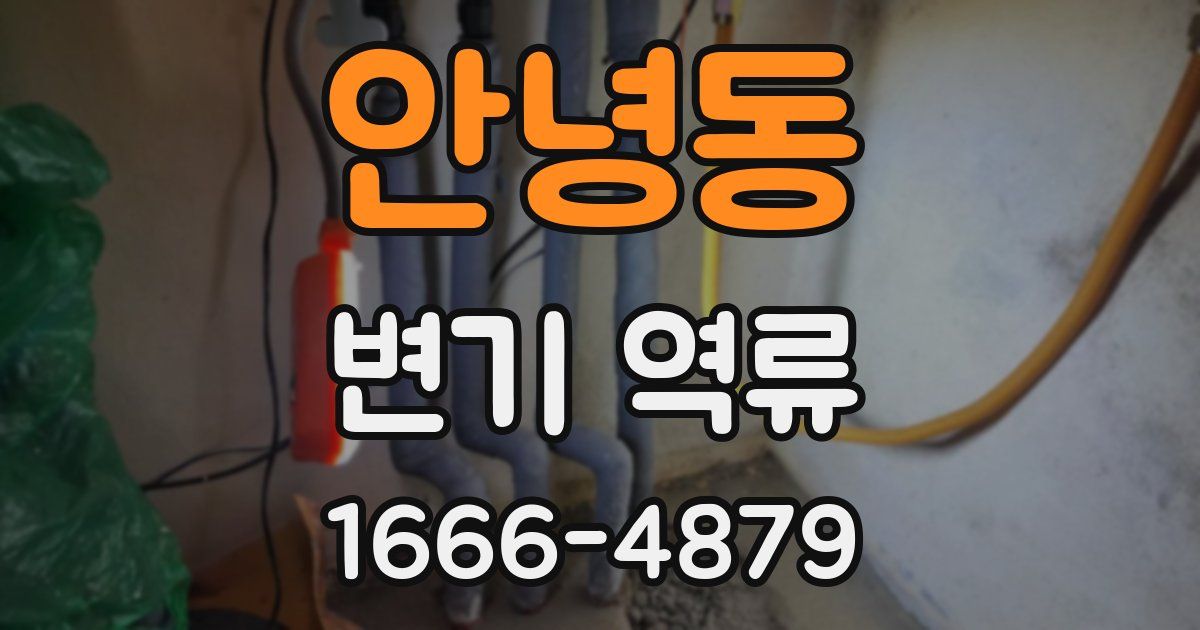 안녕동 변기 역류