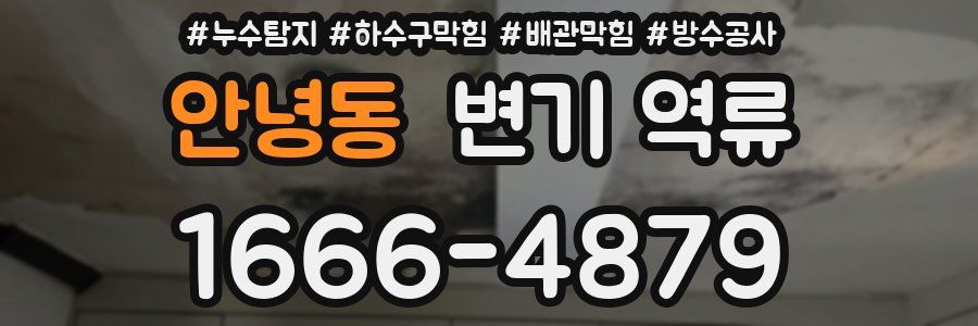 안녕동 변기 역류