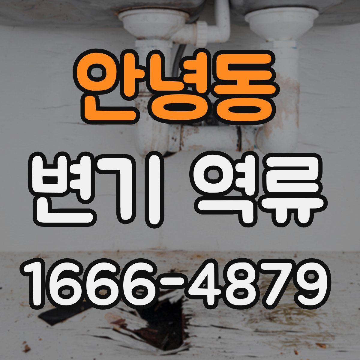 안녕동 변기 역류
