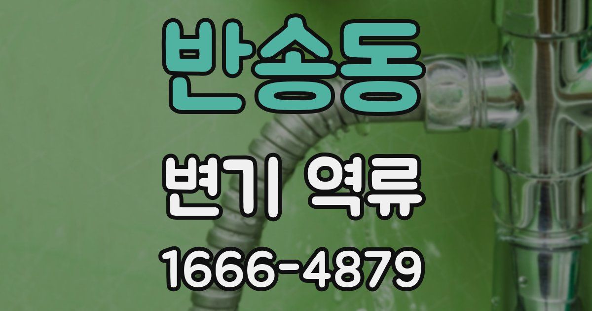 반송동 변기 역류