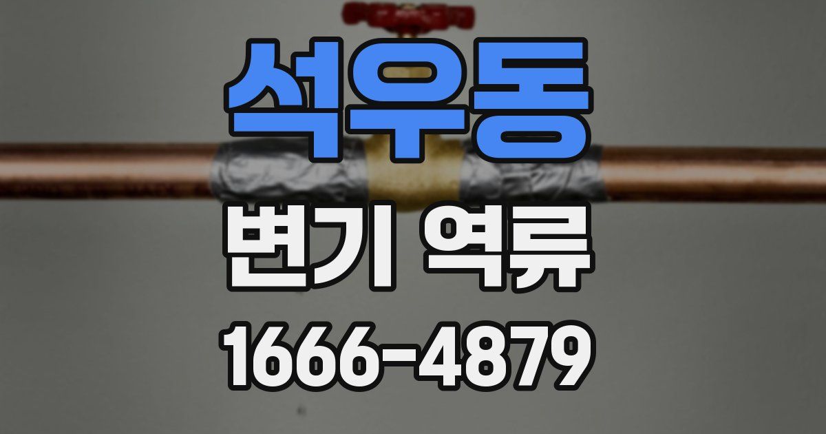 석우동 변기 역류