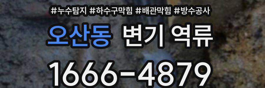 오산동 변기 역류