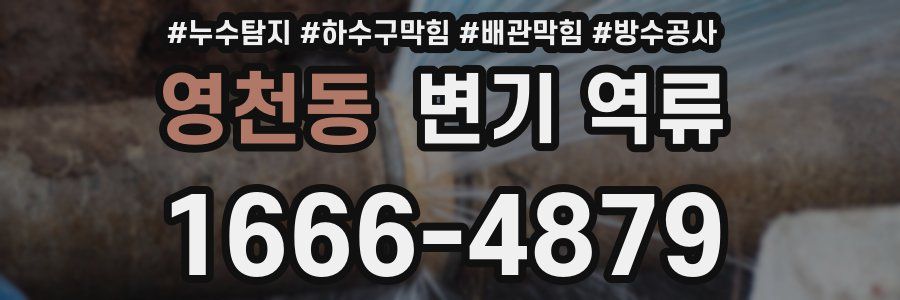 영천동 변기 역류