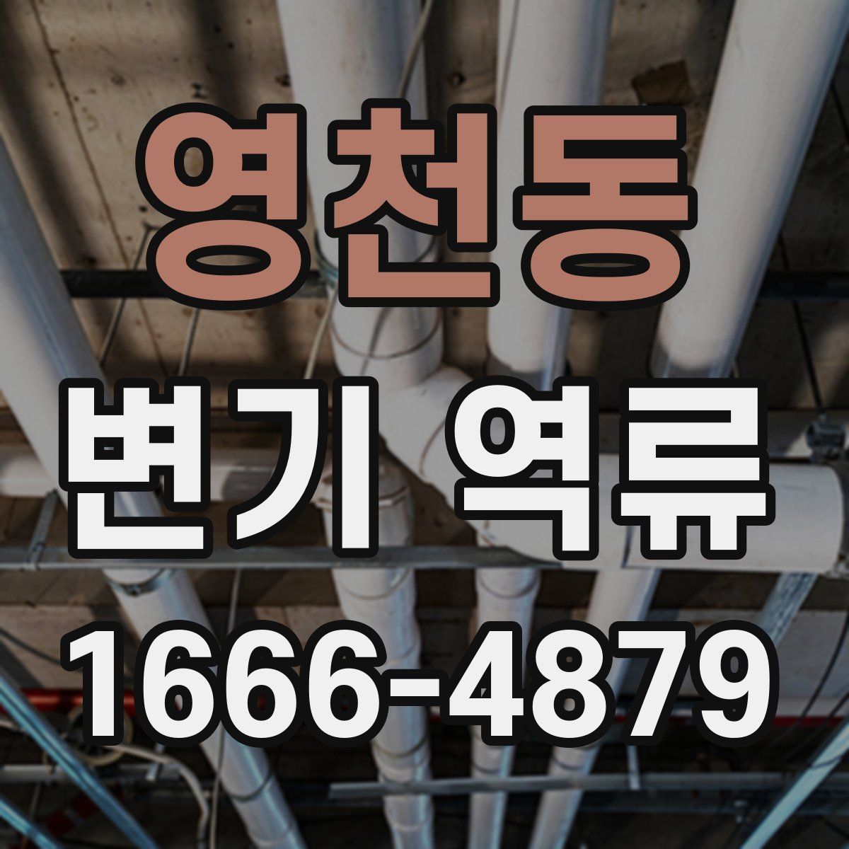 영천동 변기 역류