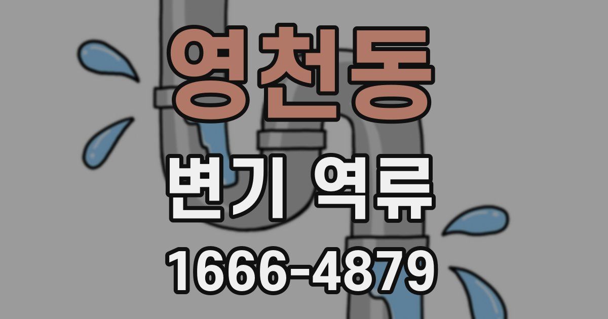 영천동 변기 역류