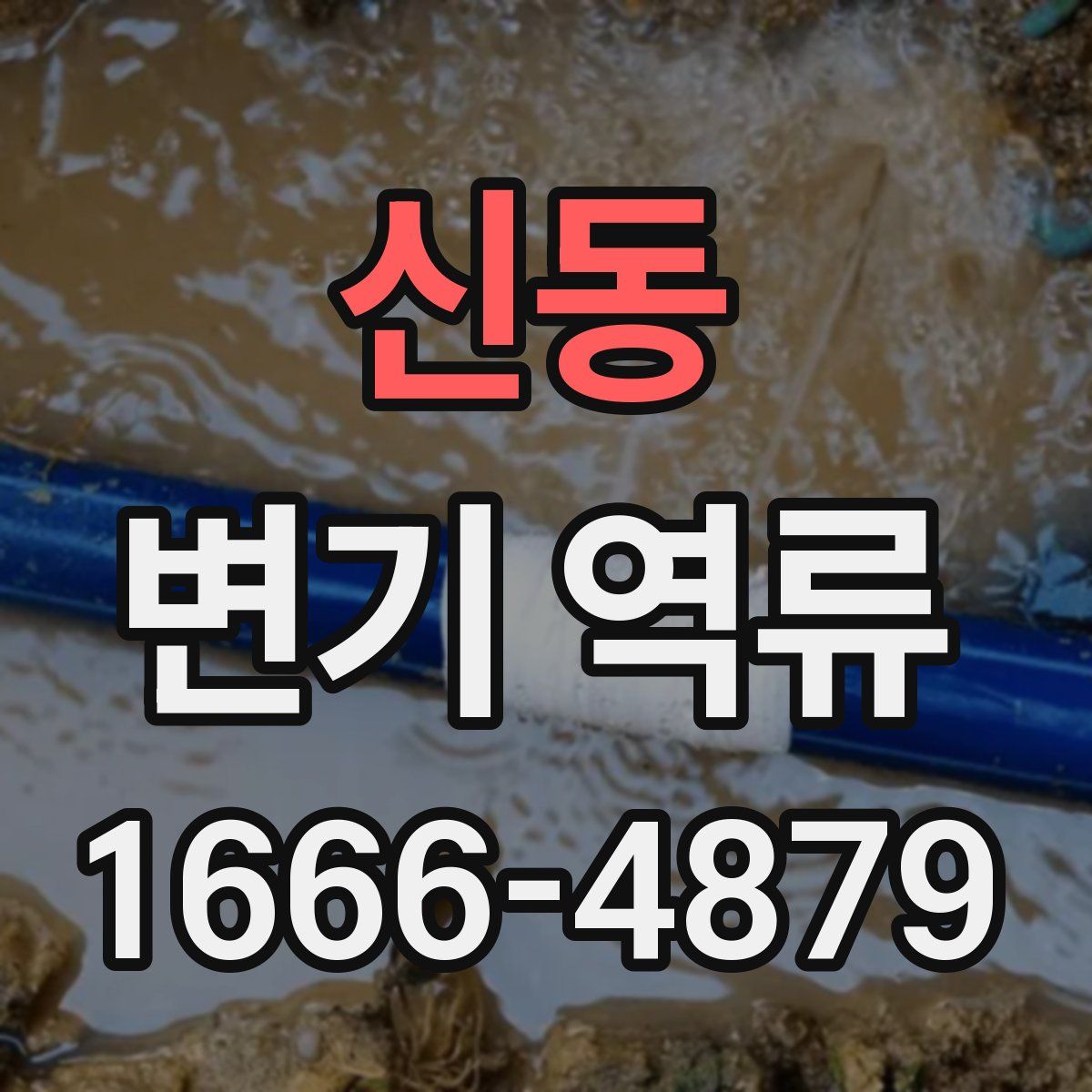 신동 변기 역류