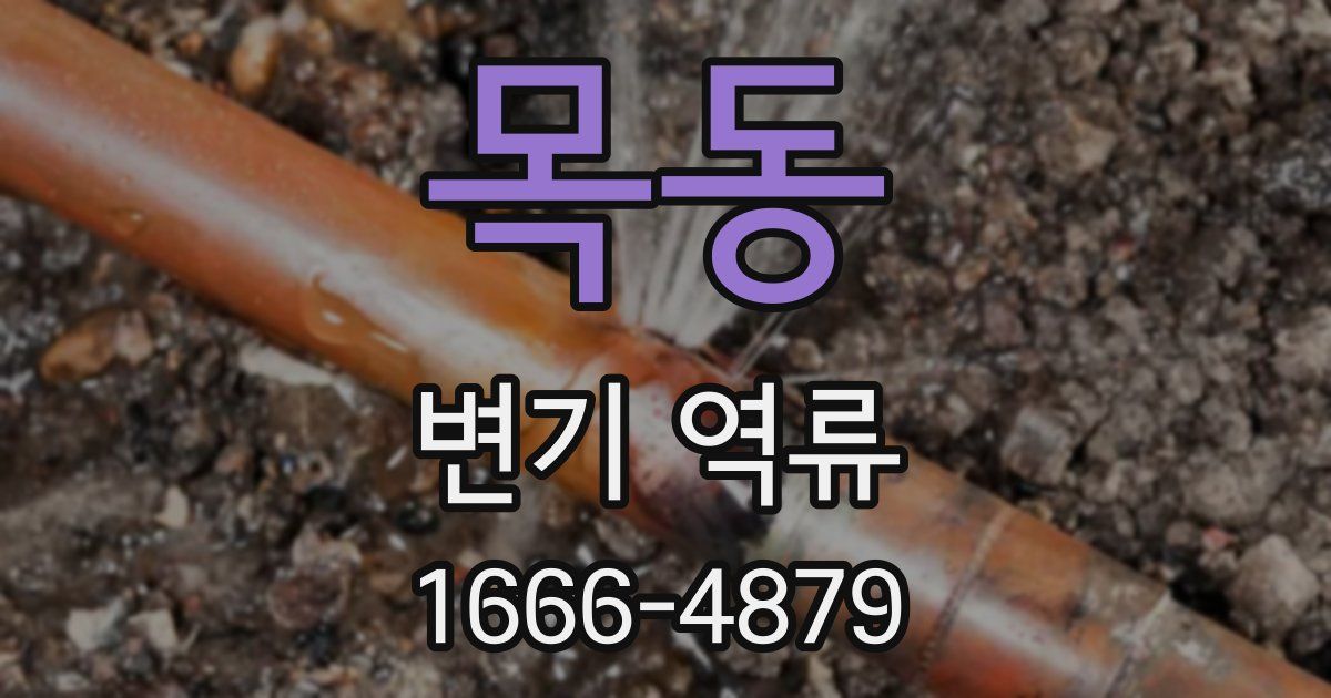 목동 변기 역류