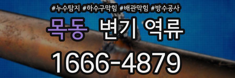 목동 변기 역류