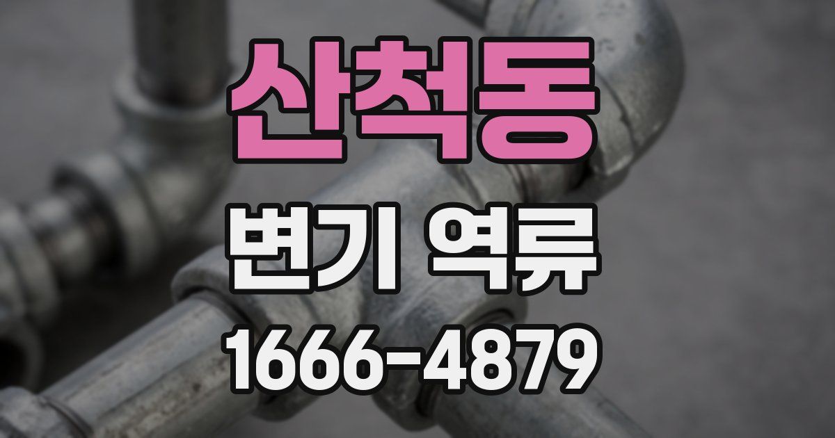산척동 변기 역류