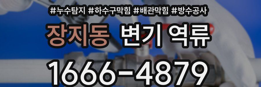 장지동 변기 역류