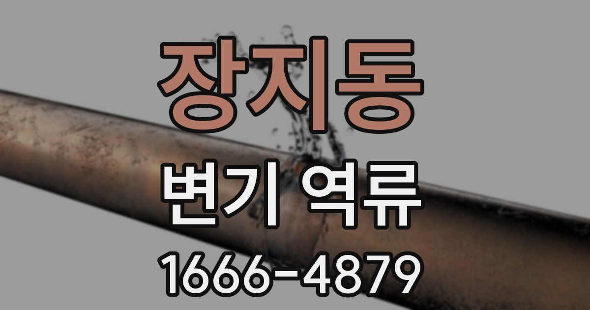 장지동 변기 역류