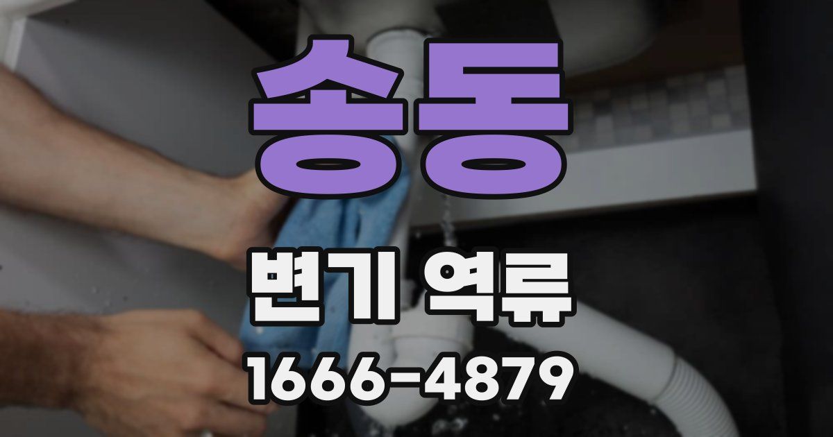 송동 변기 역류