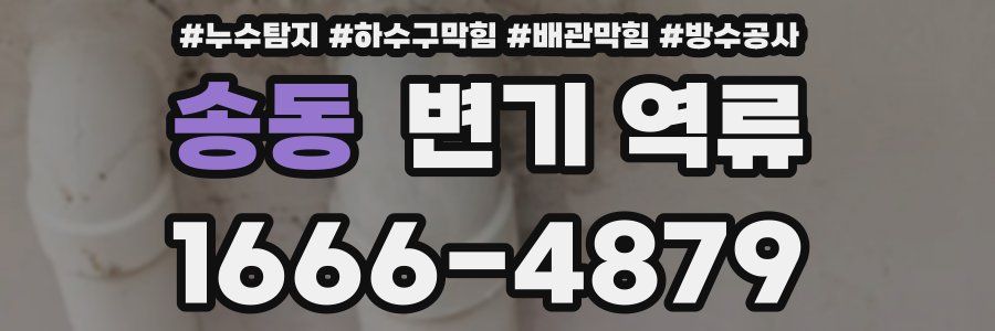 송동 변기 역류