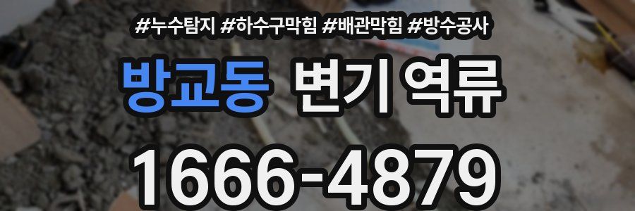 방교동 변기 역류