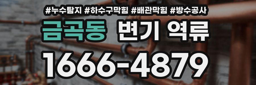금곡동 변기 역류
