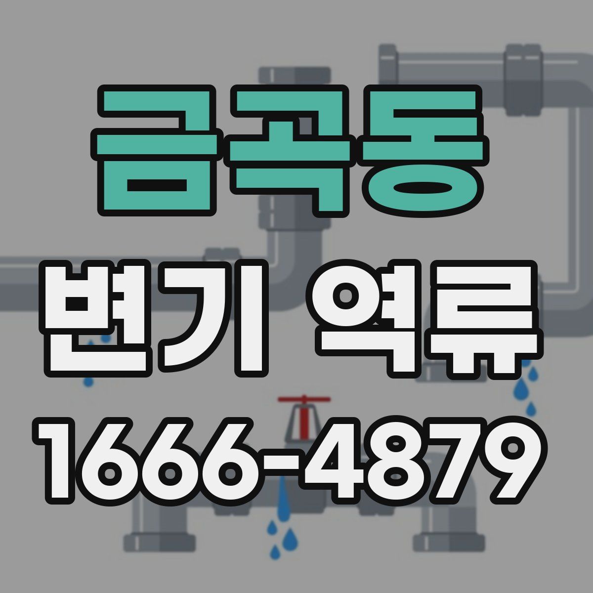 금곡동 변기 역류
