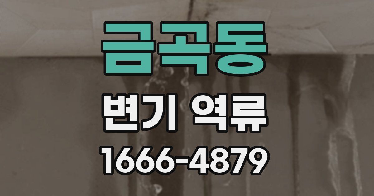 금곡동 변기 역류