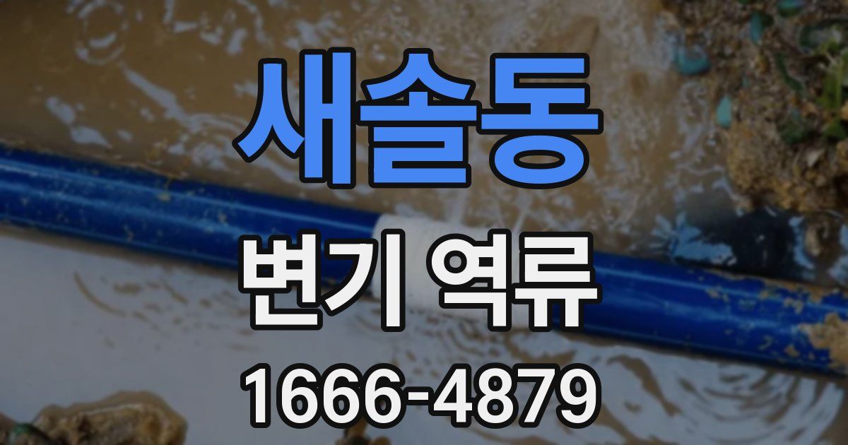 새솔동 변기 역류
