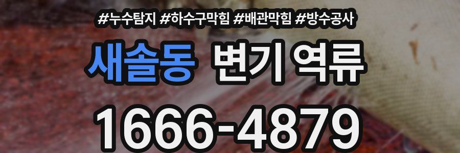 새솔동 변기 역류
