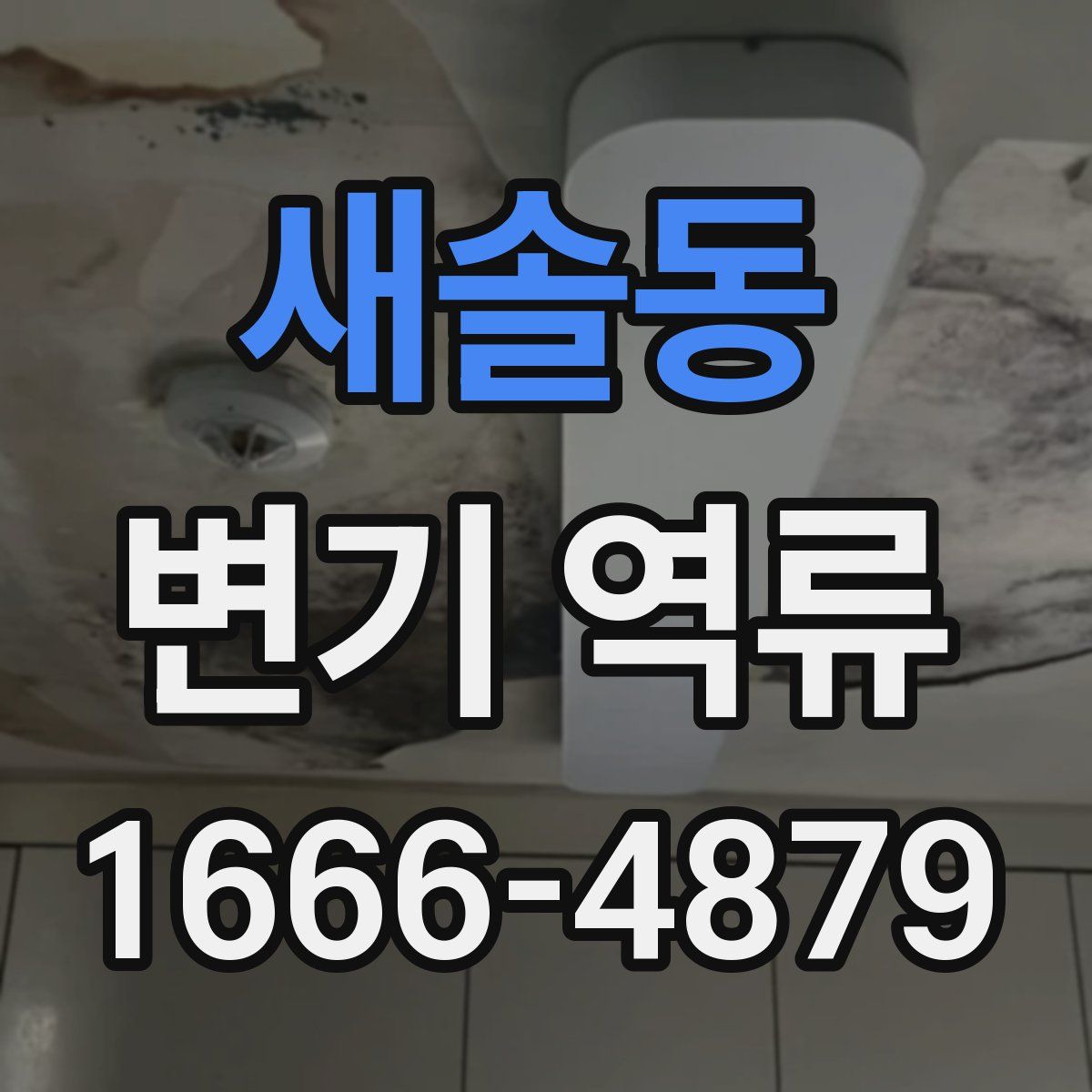 새솔동 변기 역류