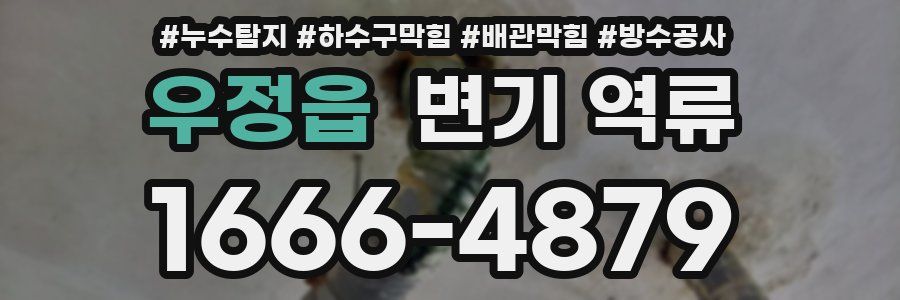 우정읍 변기 역류