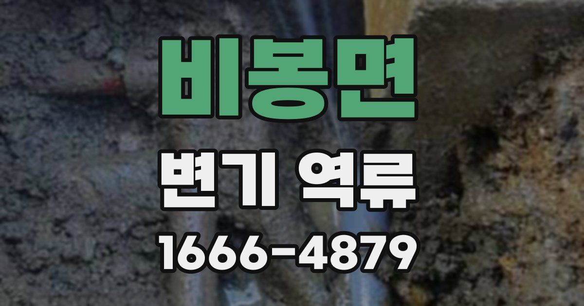 비봉면 변기 역류