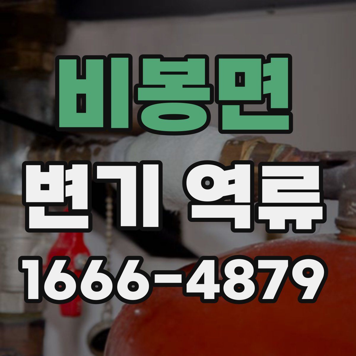 비봉면 변기 역류