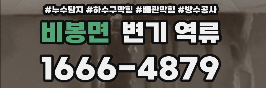 비봉면 변기 역류