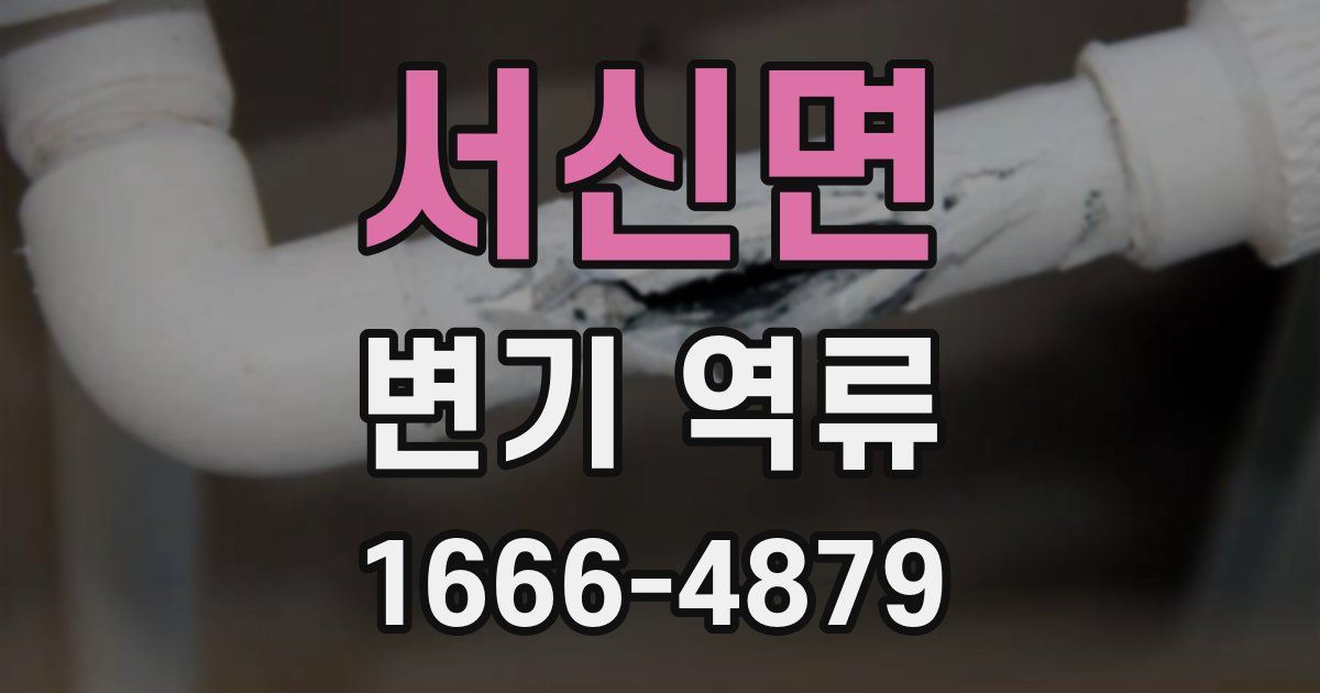 서신면 변기 역류