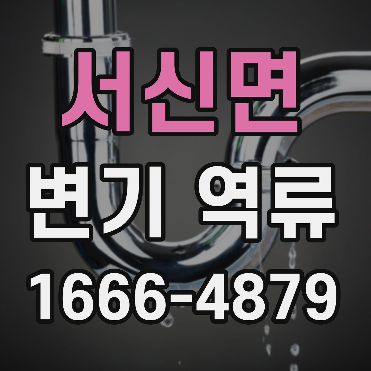 서신면 변기 역류
