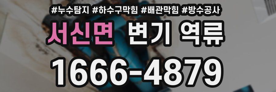 서신면 변기 역류
