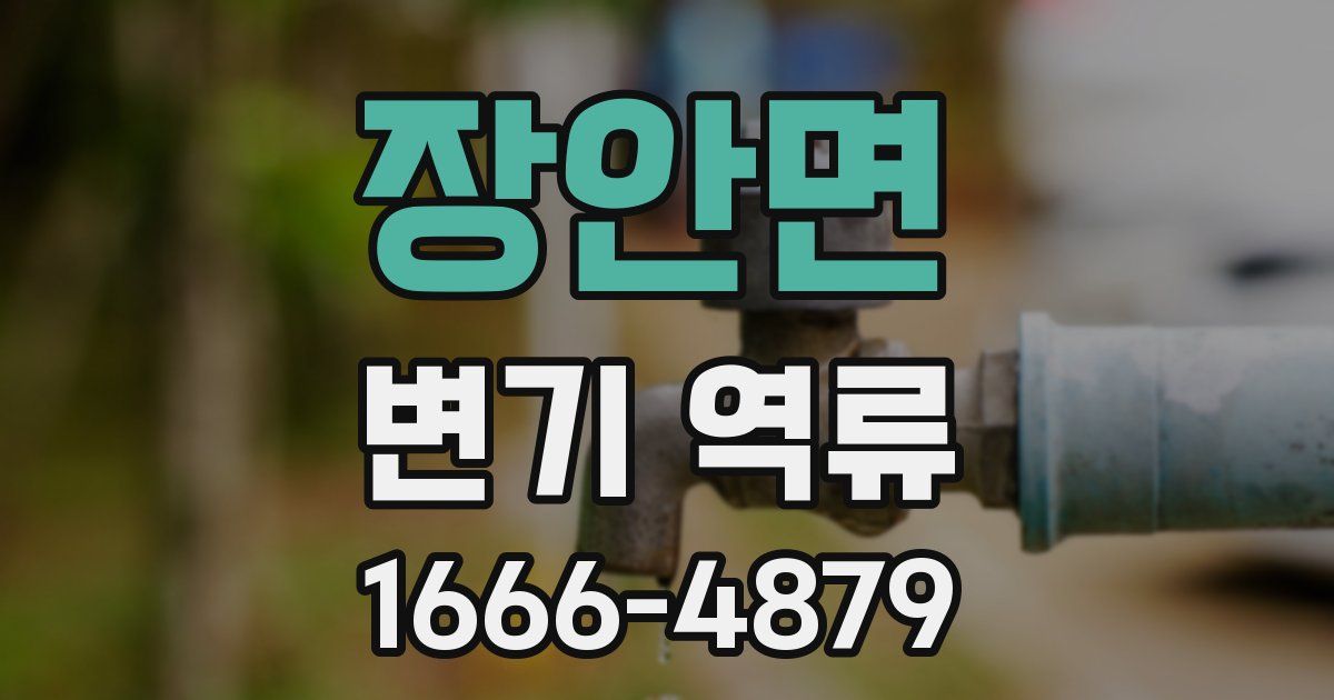 장안면 변기 역류