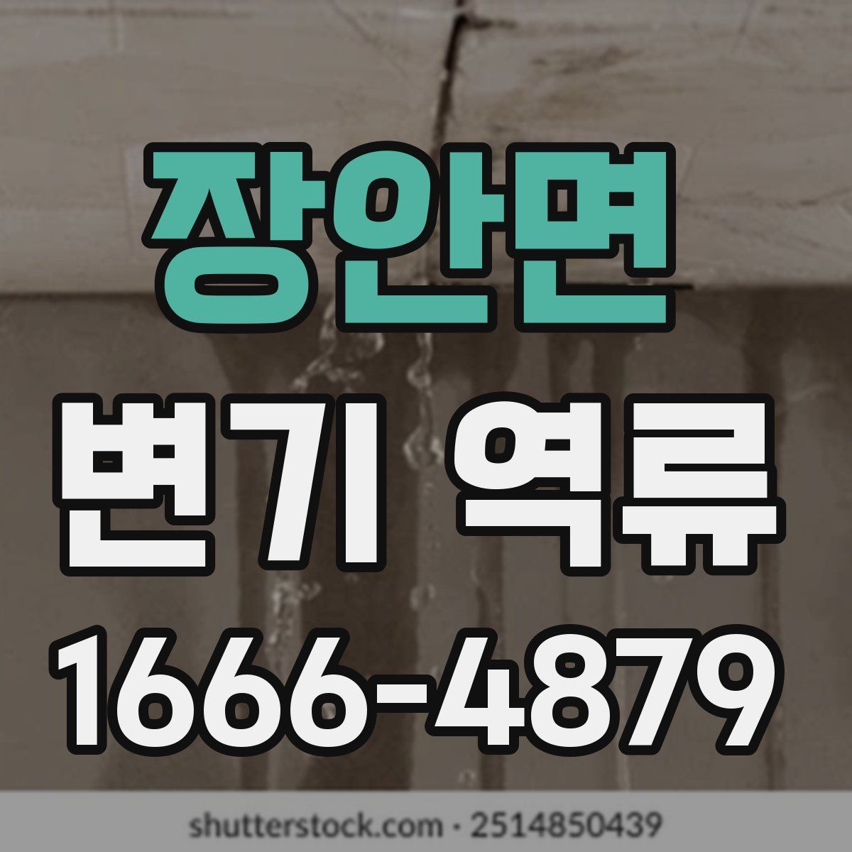 장안면 변기 역류