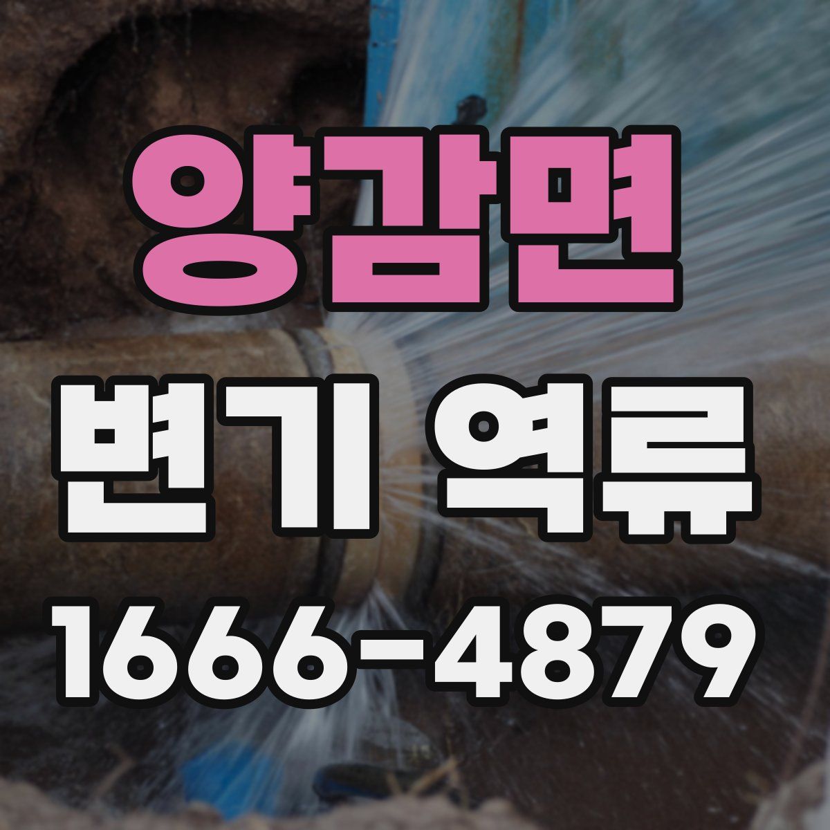 양감면 변기 역류