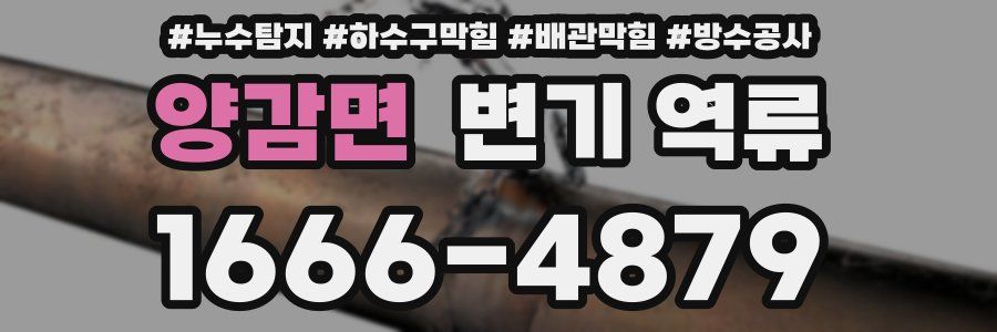 양감면 변기 역류
