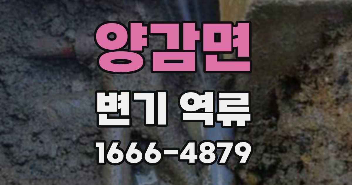 양감면 변기 역류