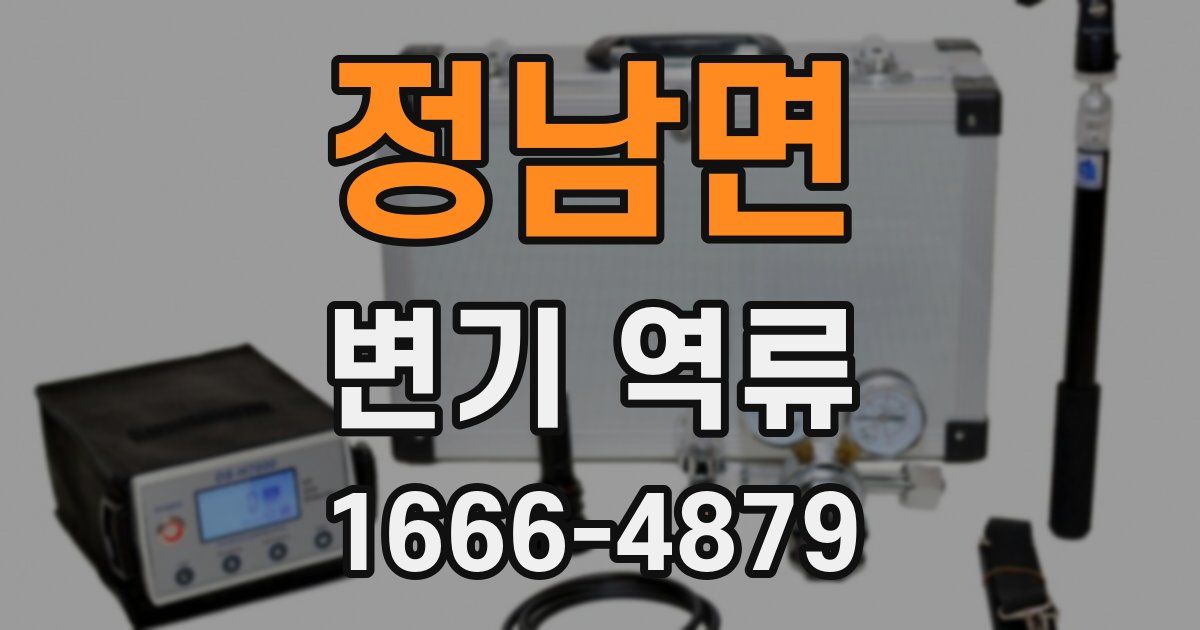 정남면 변기 역류