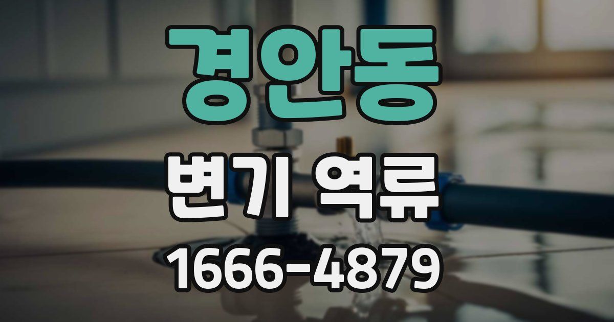 경안동 변기 역류