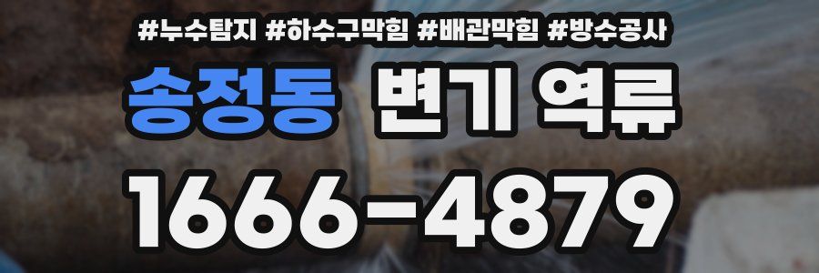 송정동 변기 역류