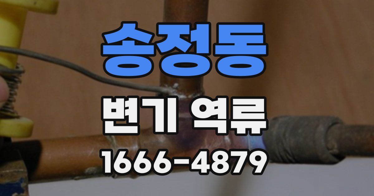 송정동 변기 역류