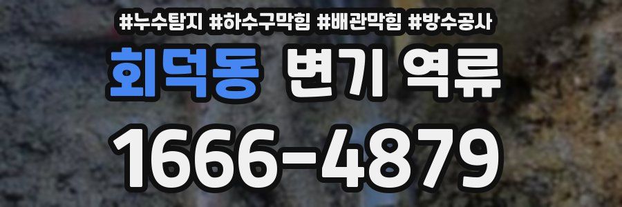 회덕동 변기 역류